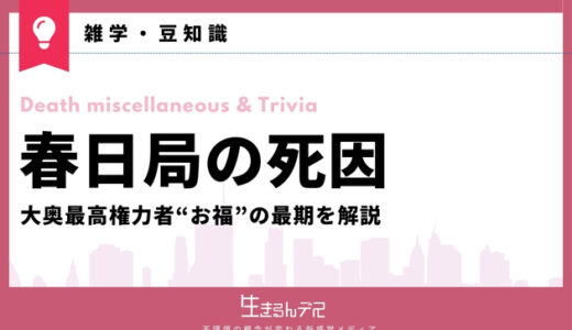 春日局の死因は何？大奥最高権力者“お福”の最期を解説