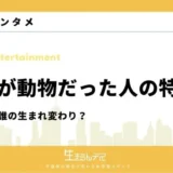 前世が動物だった人の特徴7選！あなたは誰の生まれ変わり？