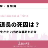 藤原道長 死因
