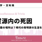 平賀源内 死因