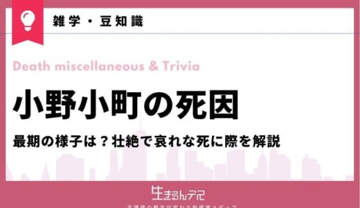 小野小町の死因や最期の様子は？壮絶で哀れな死に際を解説