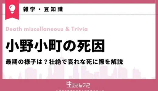 小野小町の死因や最期の様子は？壮絶で哀れな死に際を解説