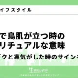 神社 鳥肌が立つ スピリチュアル